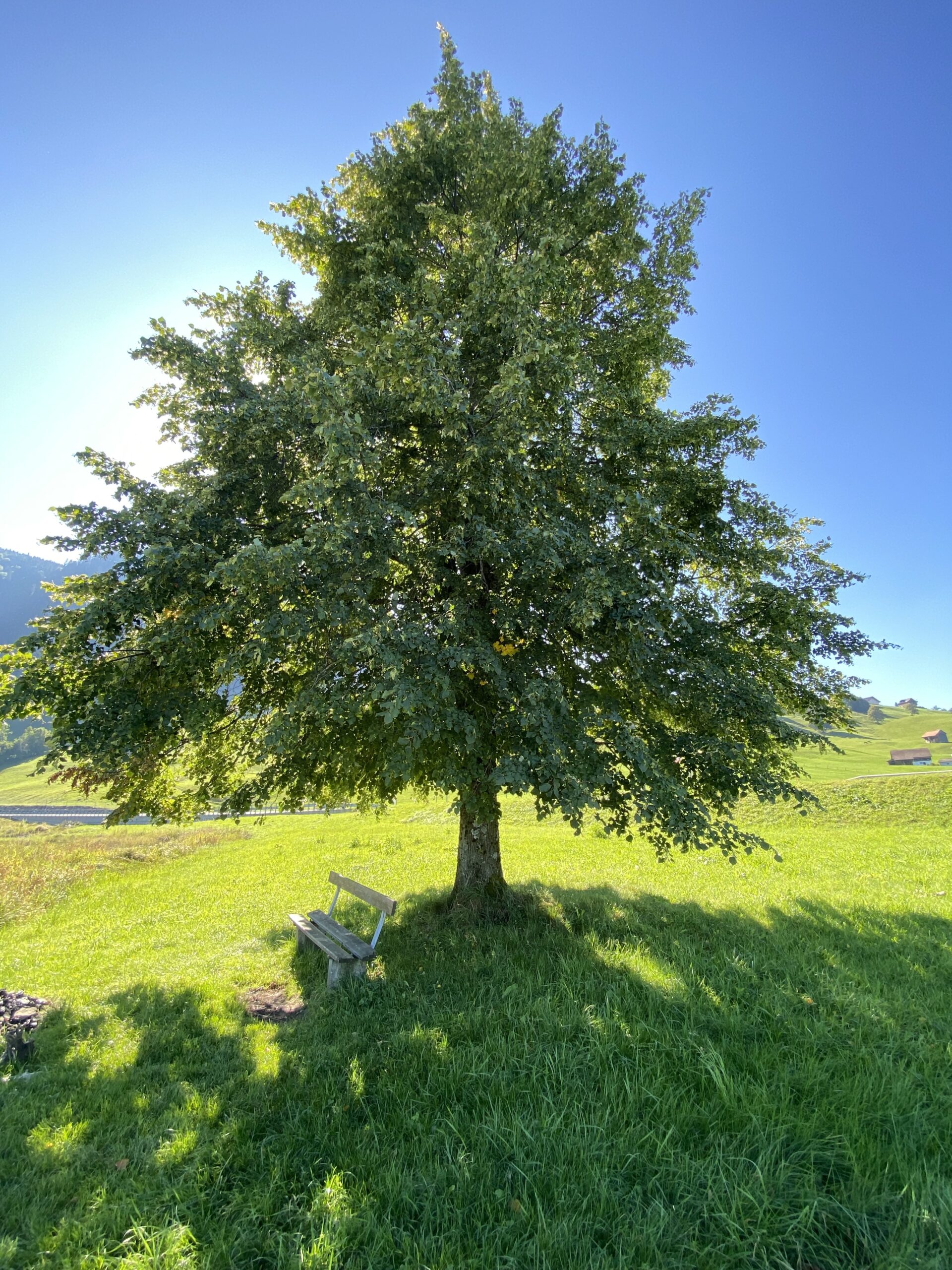 Unternehmerinnenfreiheit